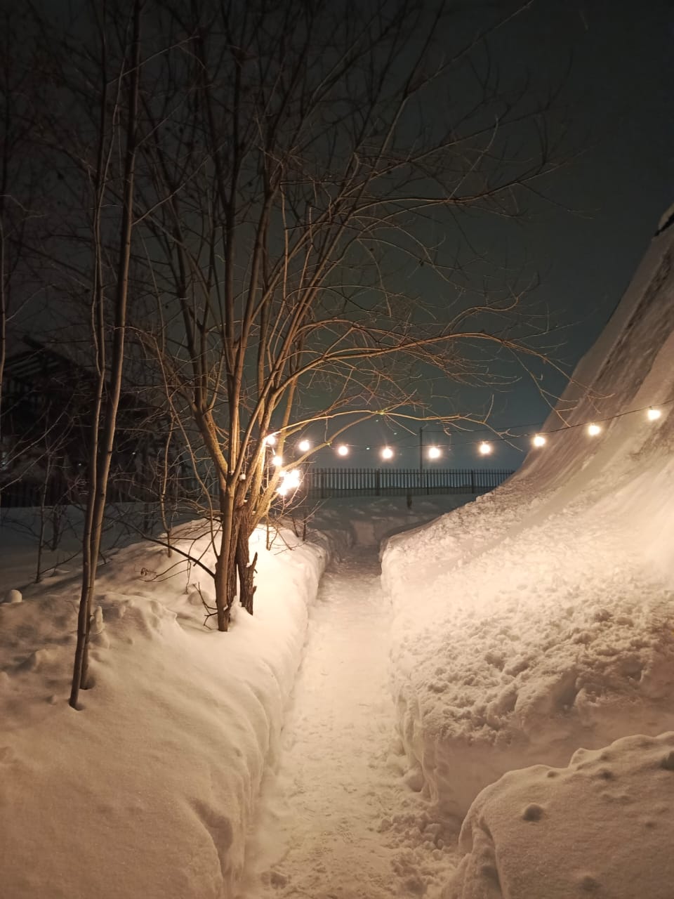 Фото Сказка у леса