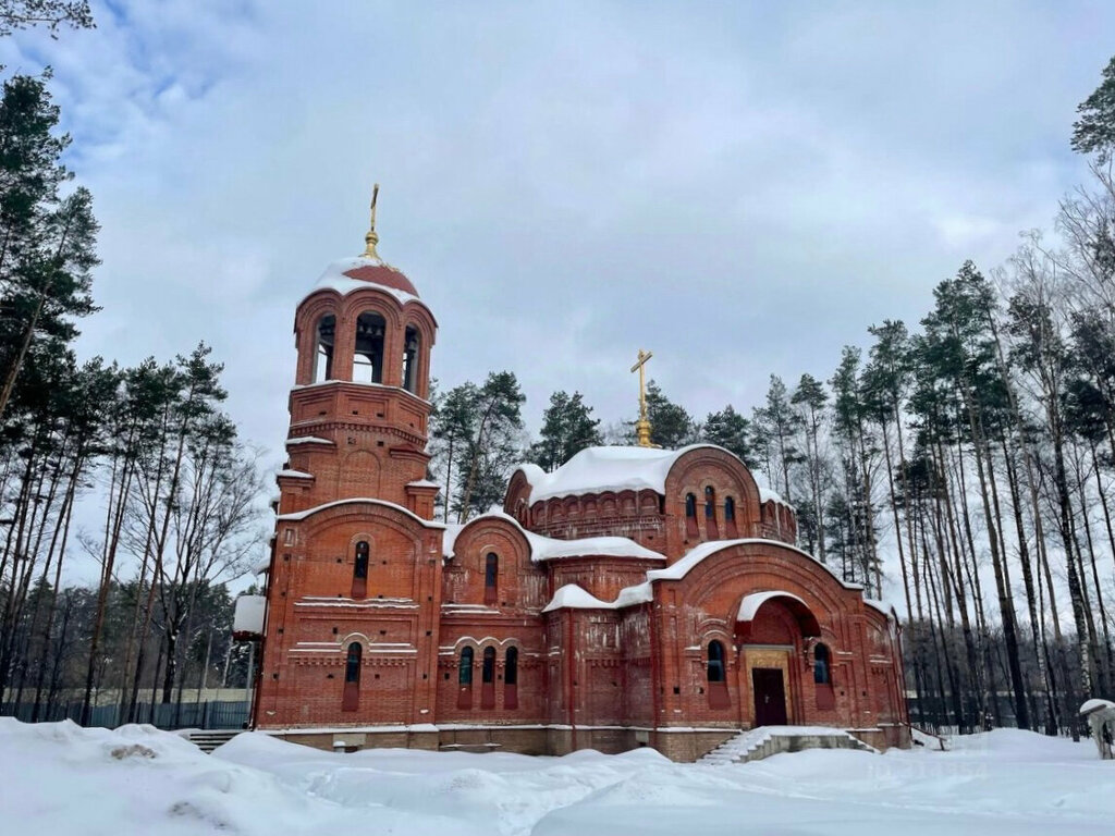 Orthodox church Alexander Nevsky Church, Moscow and Moscow Oblast, photo