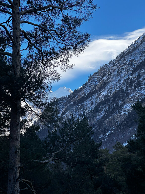 Фото Метелица Эльбрус