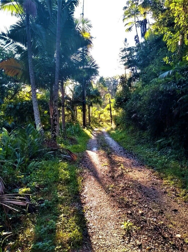 Фото Sitio Libardo - Nova Trento - Sc