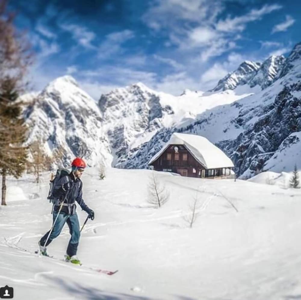 Фото Boutique Hotel Vila Planinka