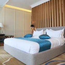 Внешний вид отеля Sofia International Hotel в Бишкеке, фото 3