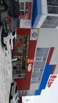 Мой питомец (Pervomayskaya ulitsa No:22, Severodvinsk), petshop  Severodvinsk'ten