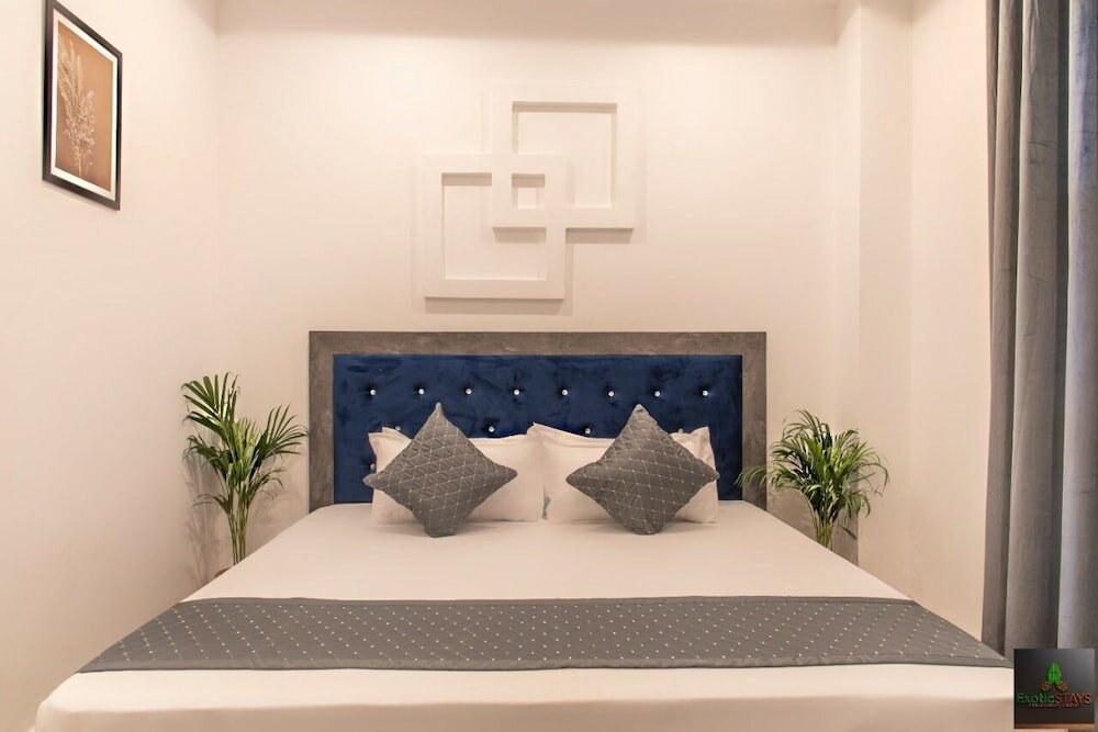 Фото The Cloud Berry