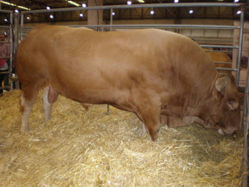 Фото Hotel Linares