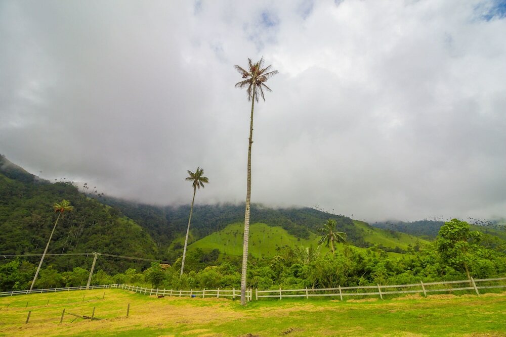 Фото On Vacation Karlaká