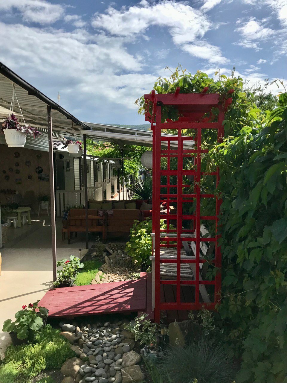 Фото Кофейное дерево