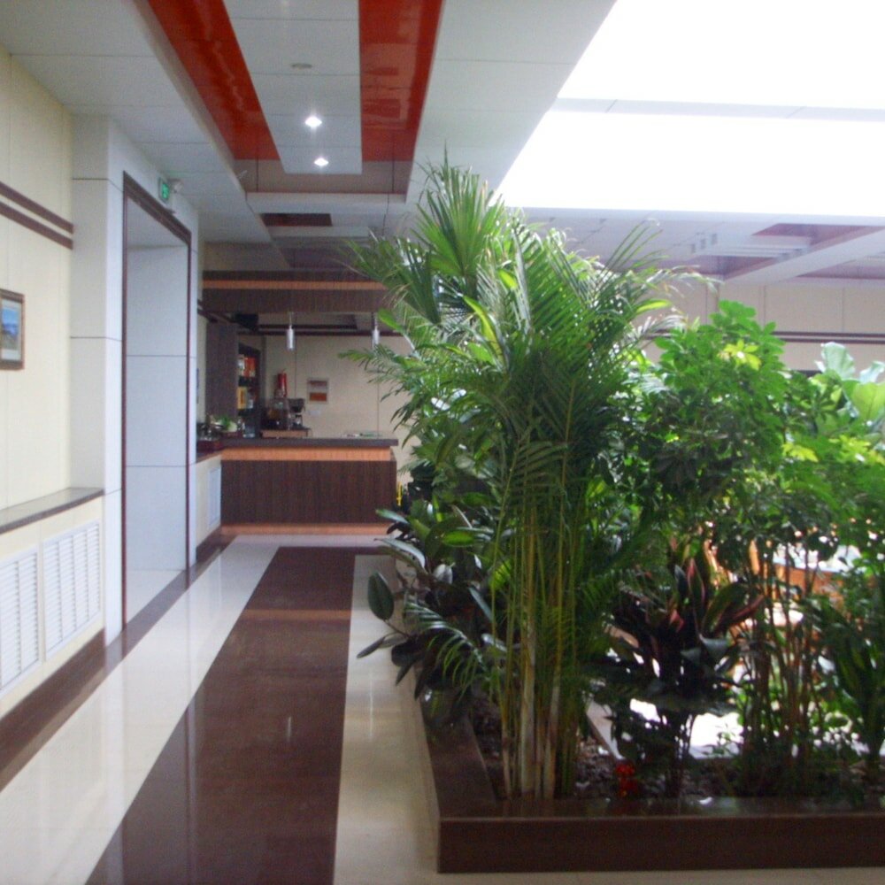 Фото Lanyin Hotel