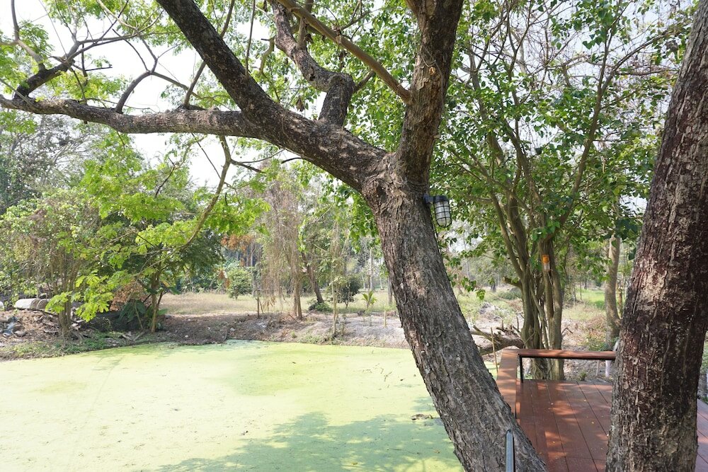 Фото Numhom Resort