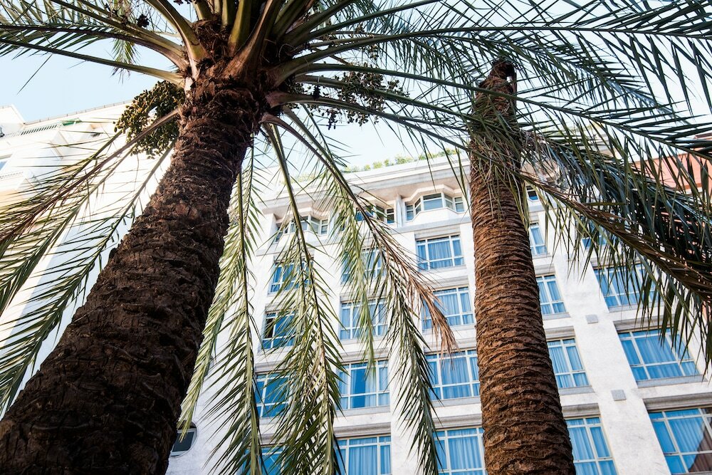 Фото Vp Madroño