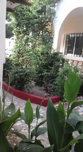 Гостиница Lilis Apartments в Банжуле