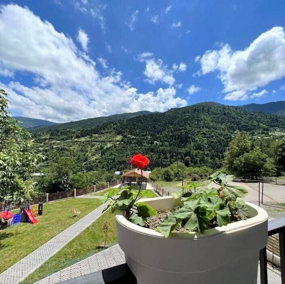 Фото Holiday Borjomi