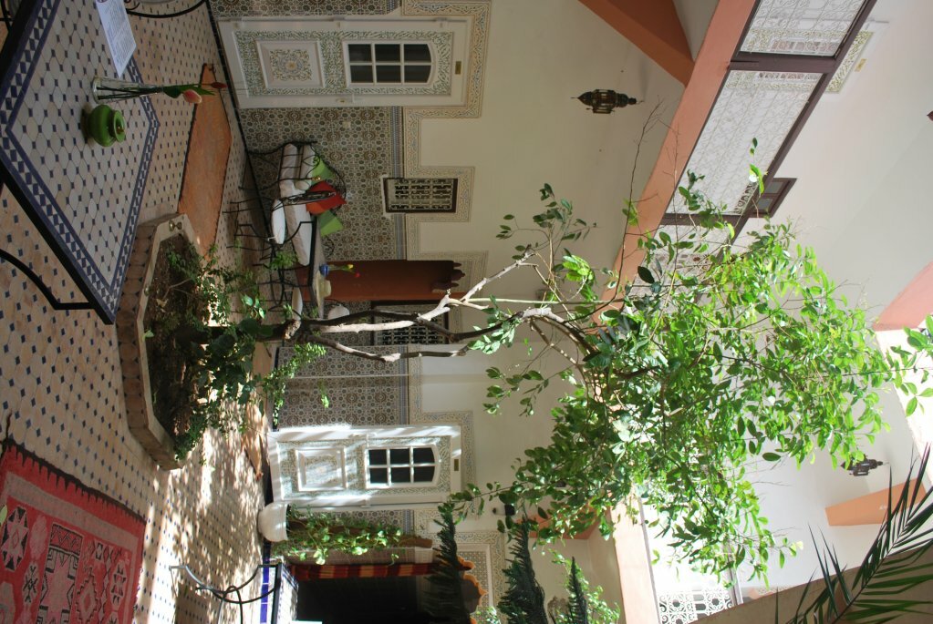 Фото Riad Les Oliviers
