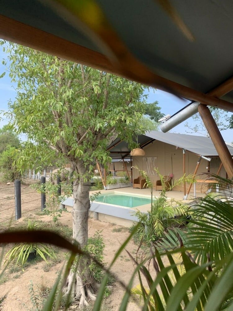 Фото Elephant View Camp