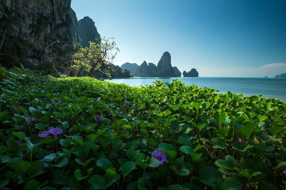 Фото Tinidee Hideaway at Tonsai Beach Krabi