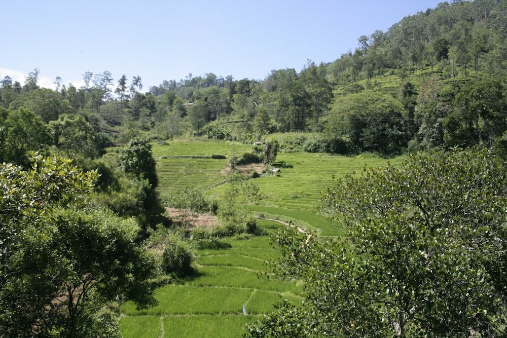 Фото Ayubo Ella - Bed & Breakfast