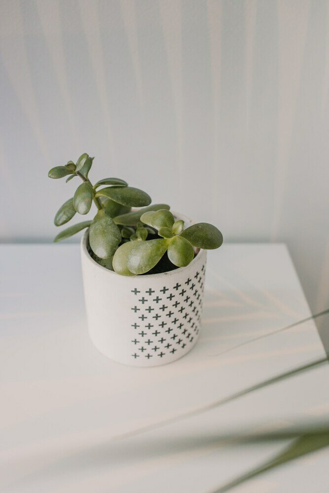 Фото Teatro Alameda City