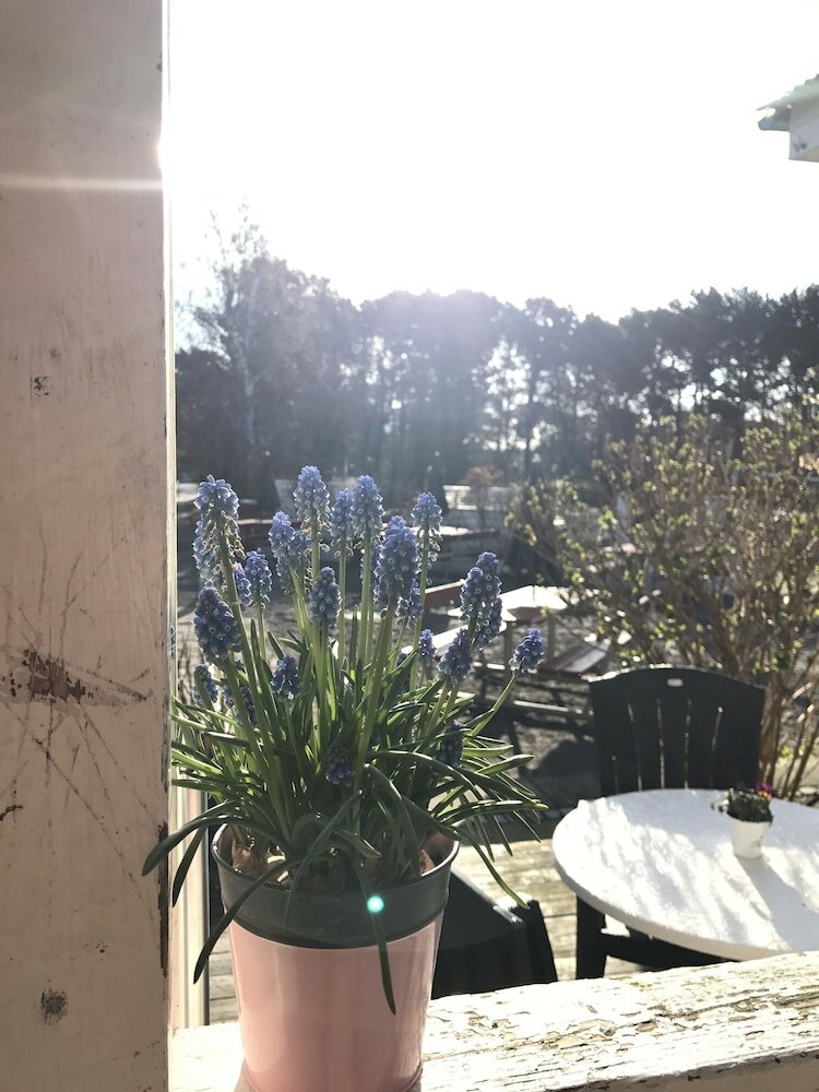 Фото Rønne Vandrerhjem - Hostel