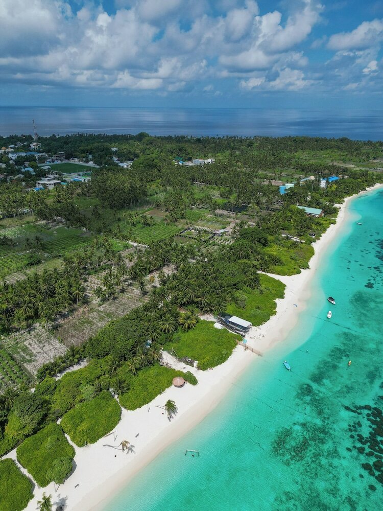 Фото Sunset Garden