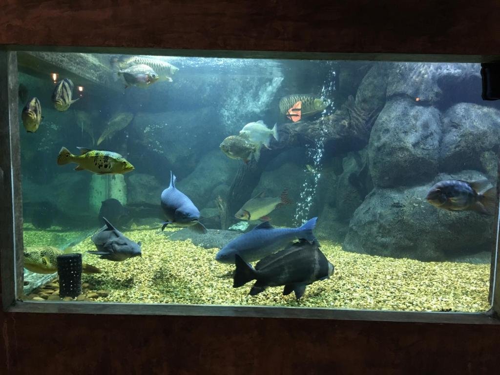 Фото Elite Residence