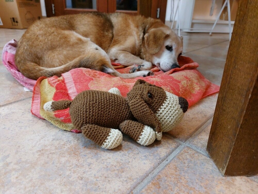 Фото Alghero in Bicicletta