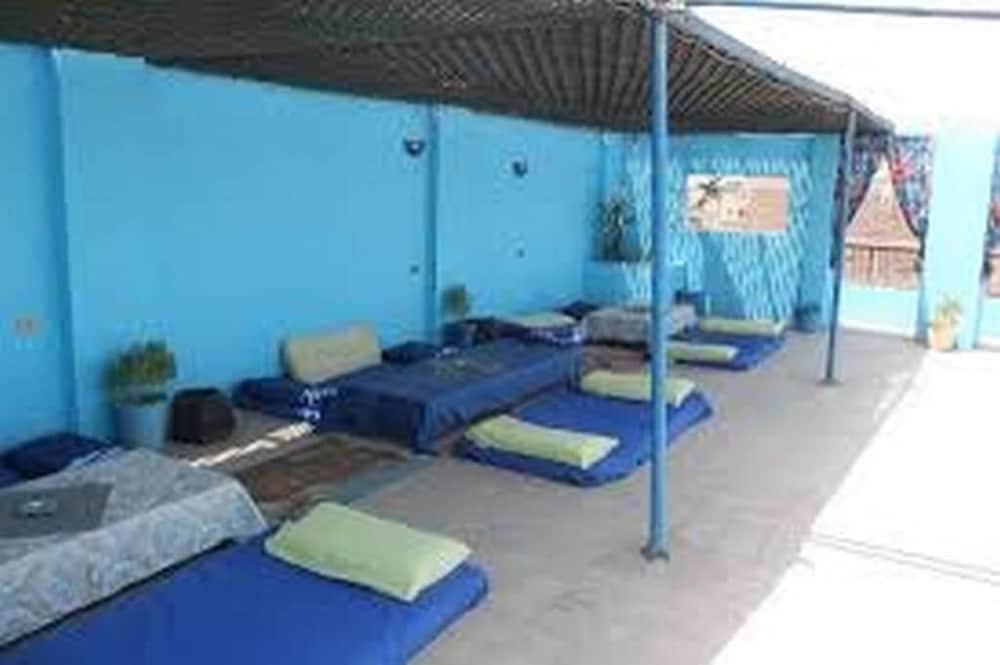 Фото Oasis Hotel