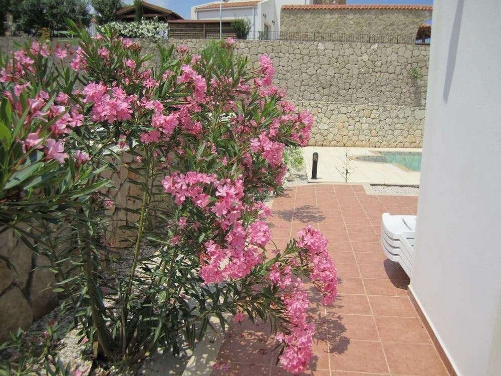 Фото Apartment Mint by Amy Villas