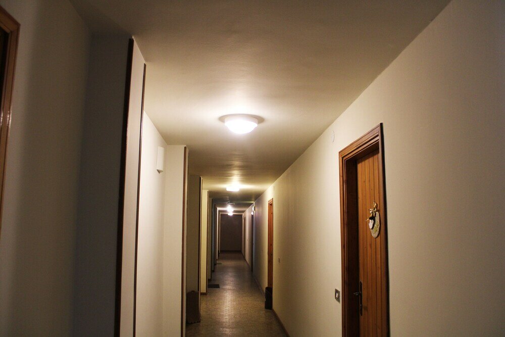 Фото Petit Etoile