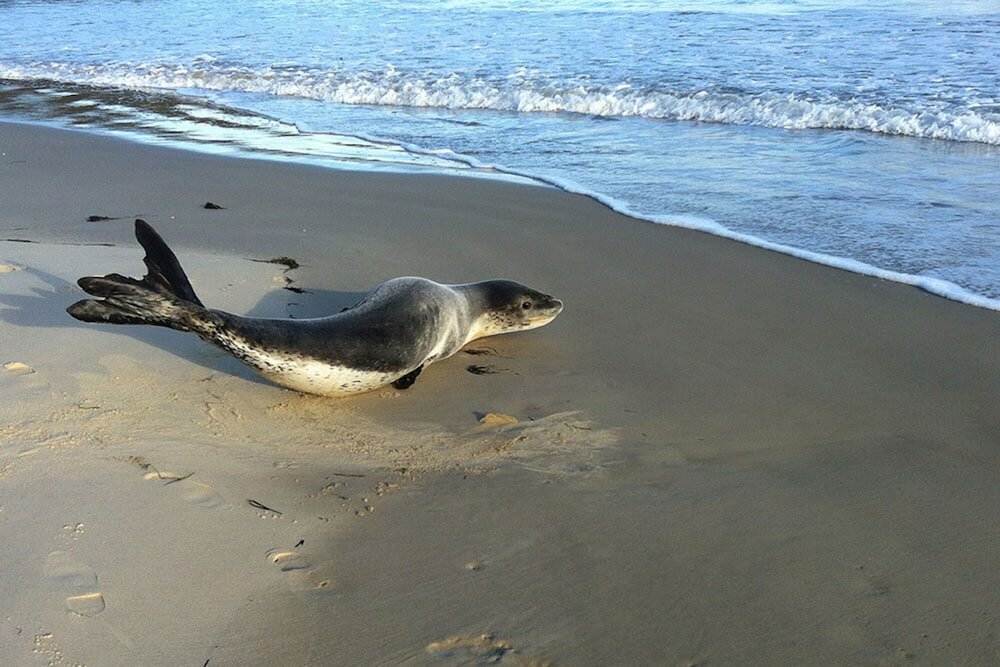 Фото Freycinet Dream