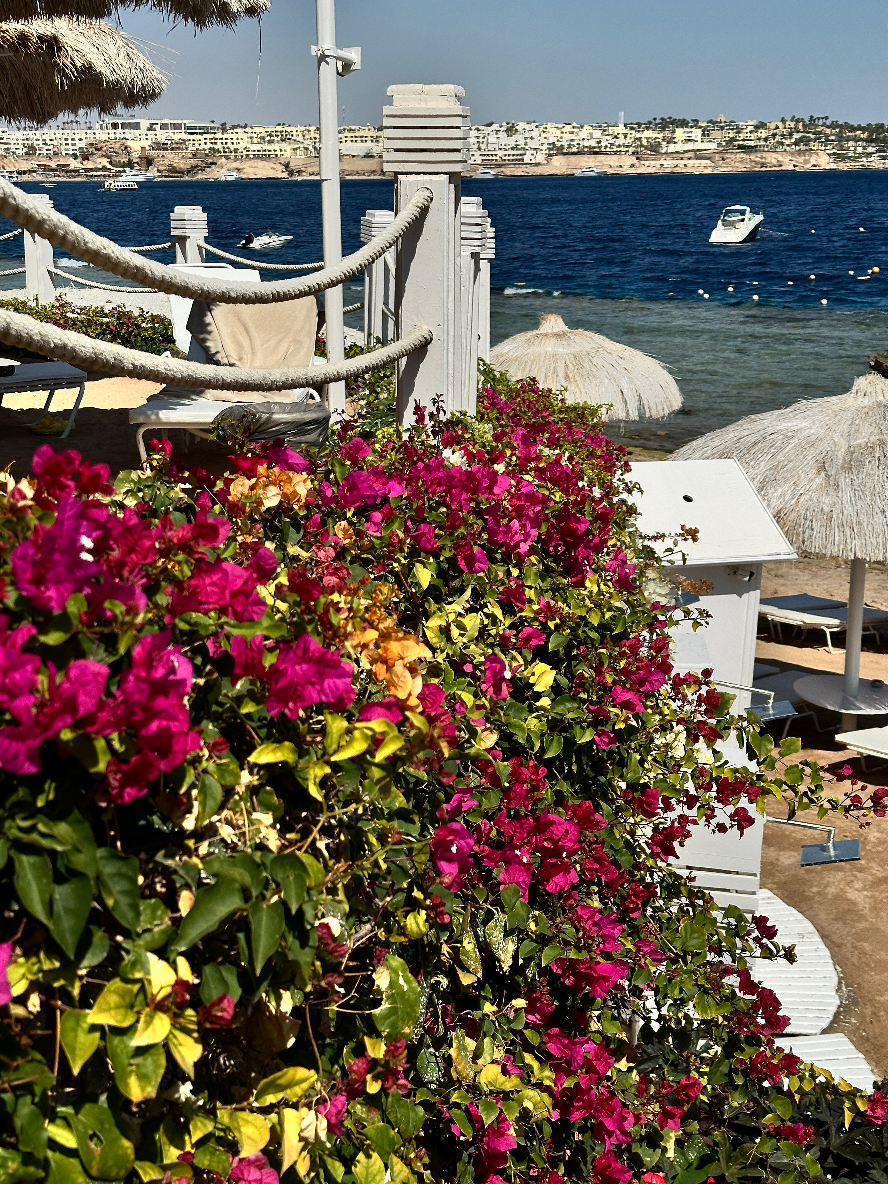 Фото Coral Beach Resort Tiran