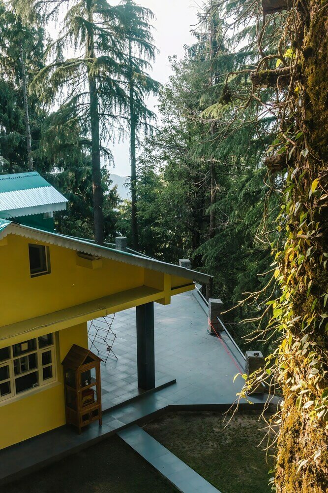 Фото BluSalz Homes - The Pine Tree Dalhousie