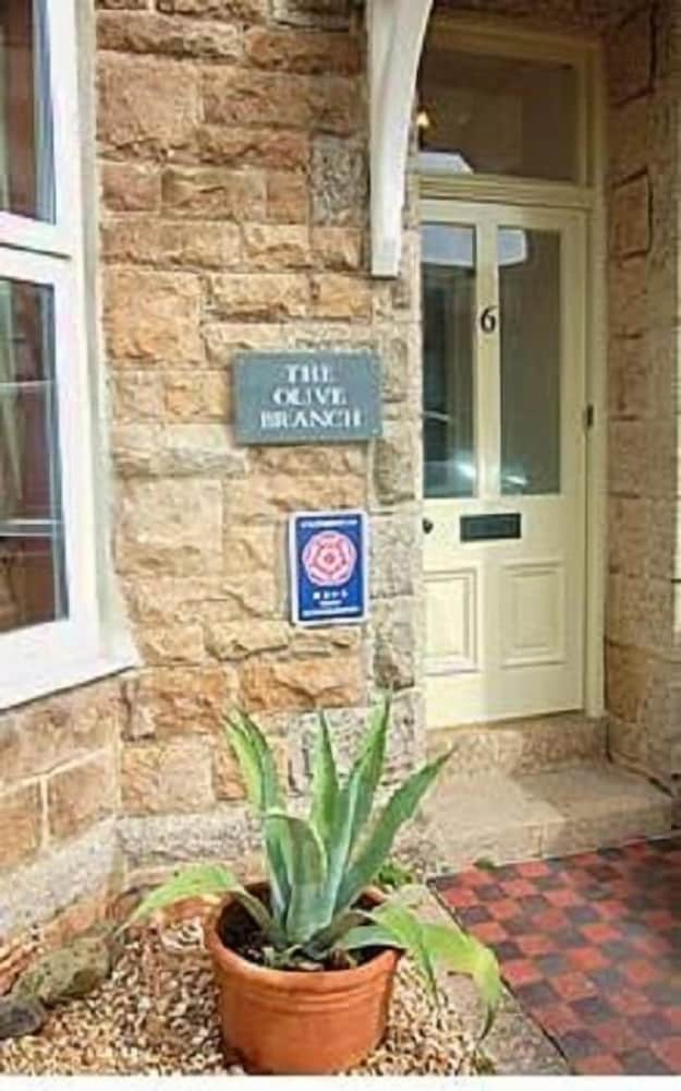 Фото The Olive Branch