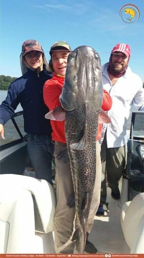 Фото Grand Crucero Fishing Lodge