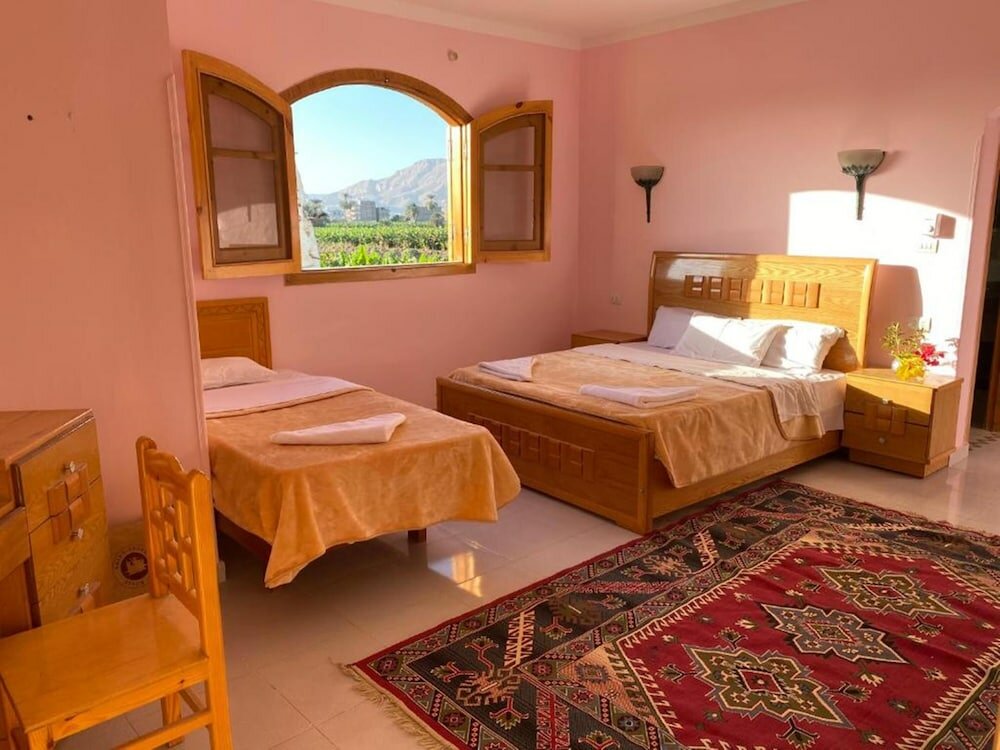 Фото Elsanosy Family Guest House - Luxor