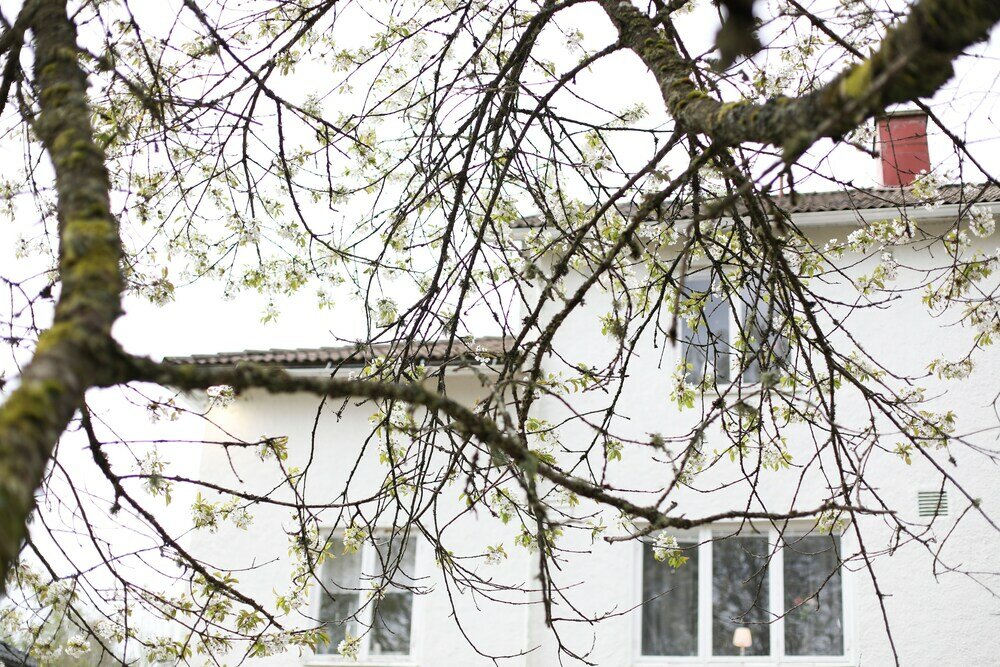 Фото Apelkvistens Wärdshus & Logi