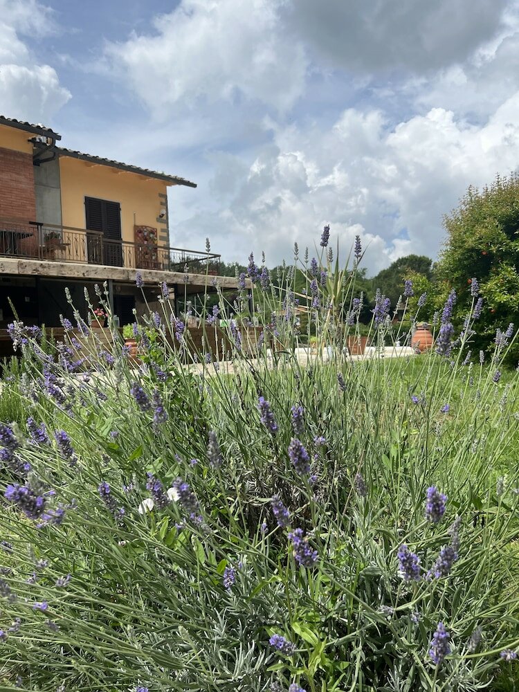 Фото Ristorante Agriturismo La Palma