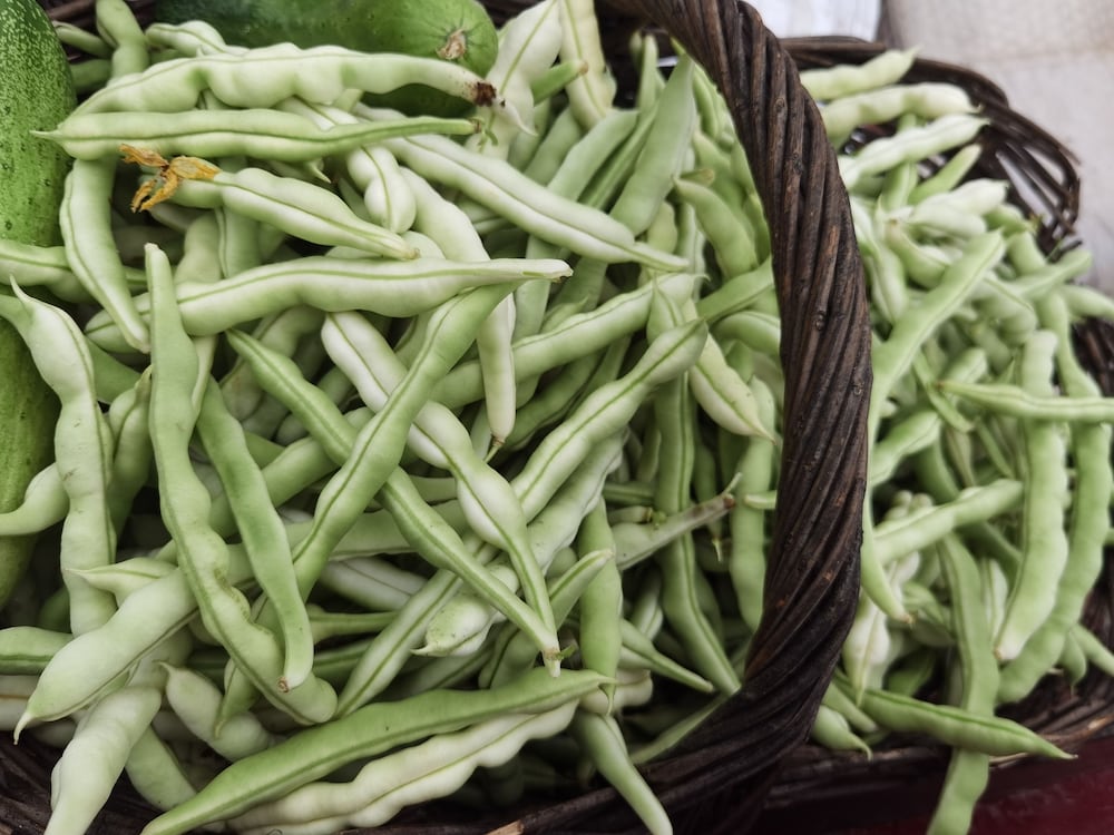 Фото Shanyutianyuan