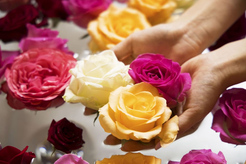 Фото Villa Terrace Omura Hotels & Resorts