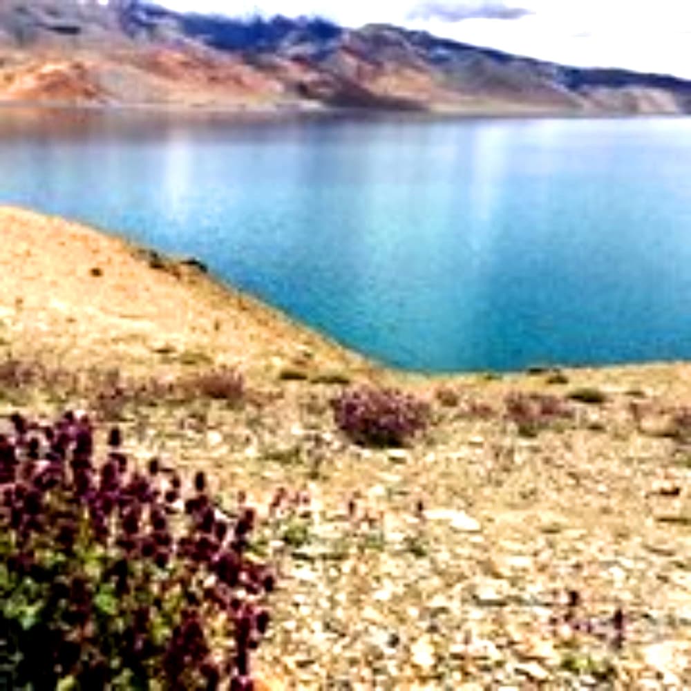 Фото Tih Tsomoriri Hotel Lake View