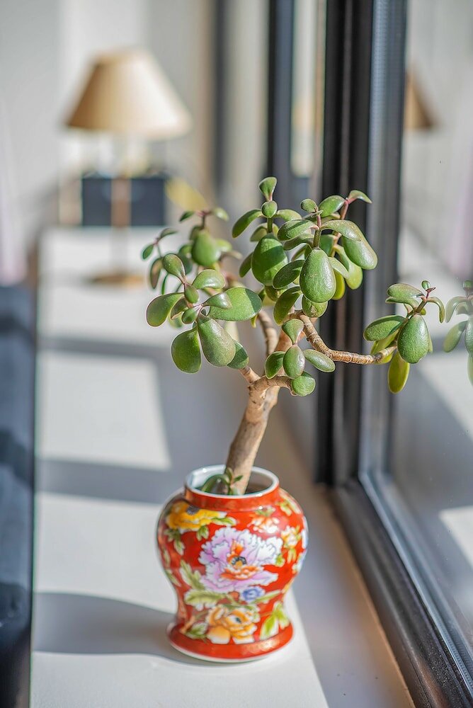 Фото H&b apartments Pier Kobakhidze