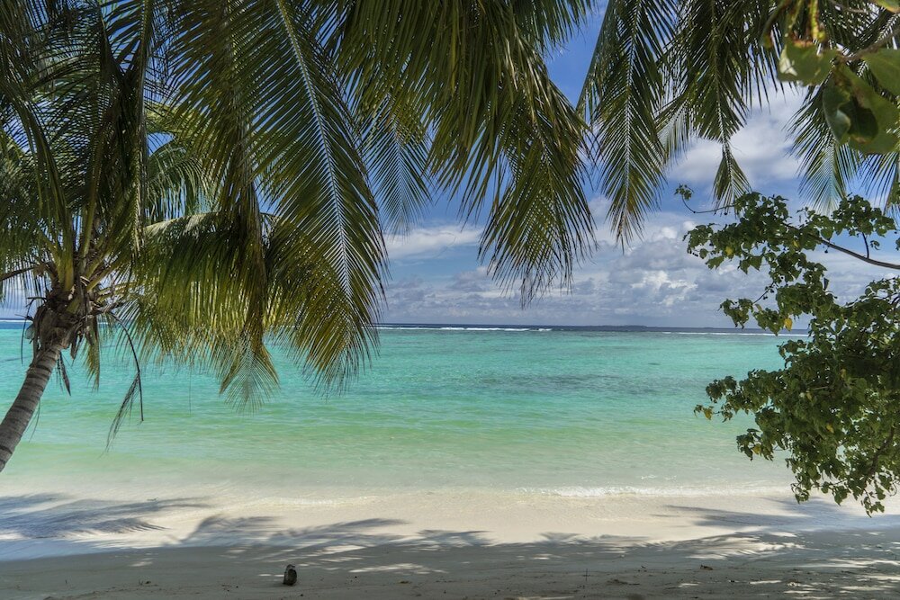 Фото Palm Rest Maldives