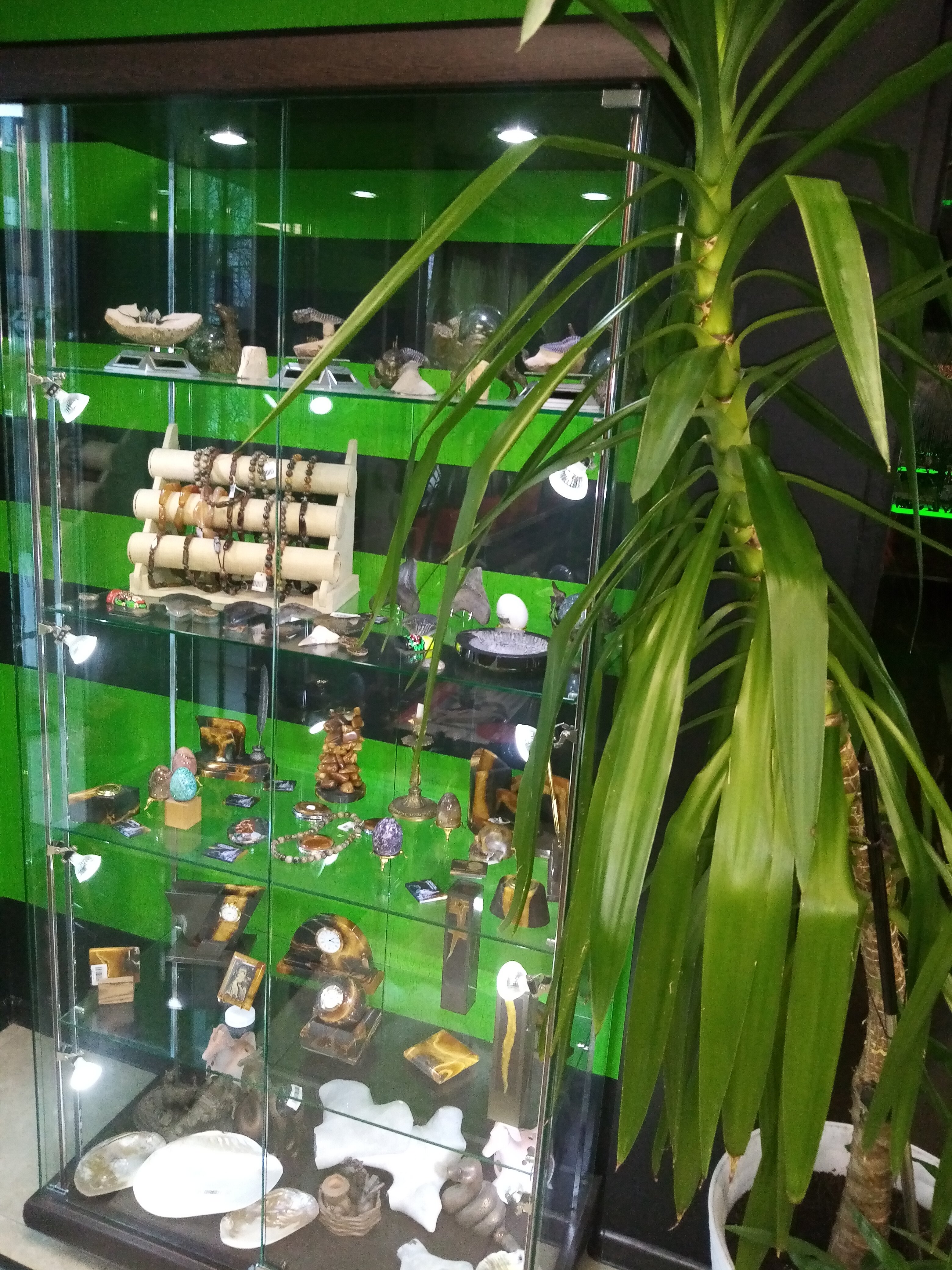 Фото Апельсин