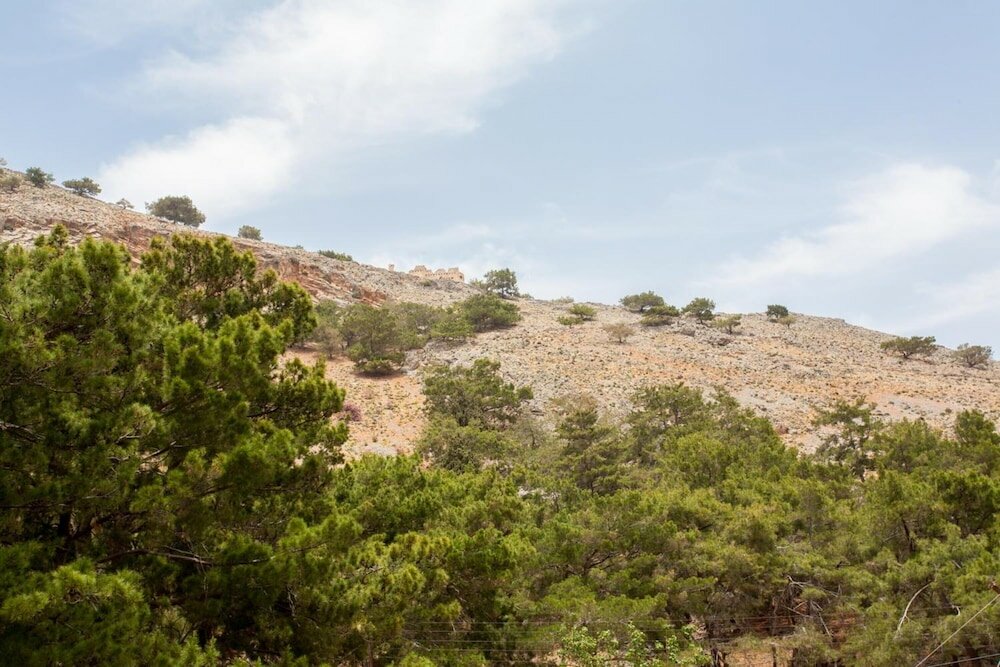 Фото Panorama Rooms