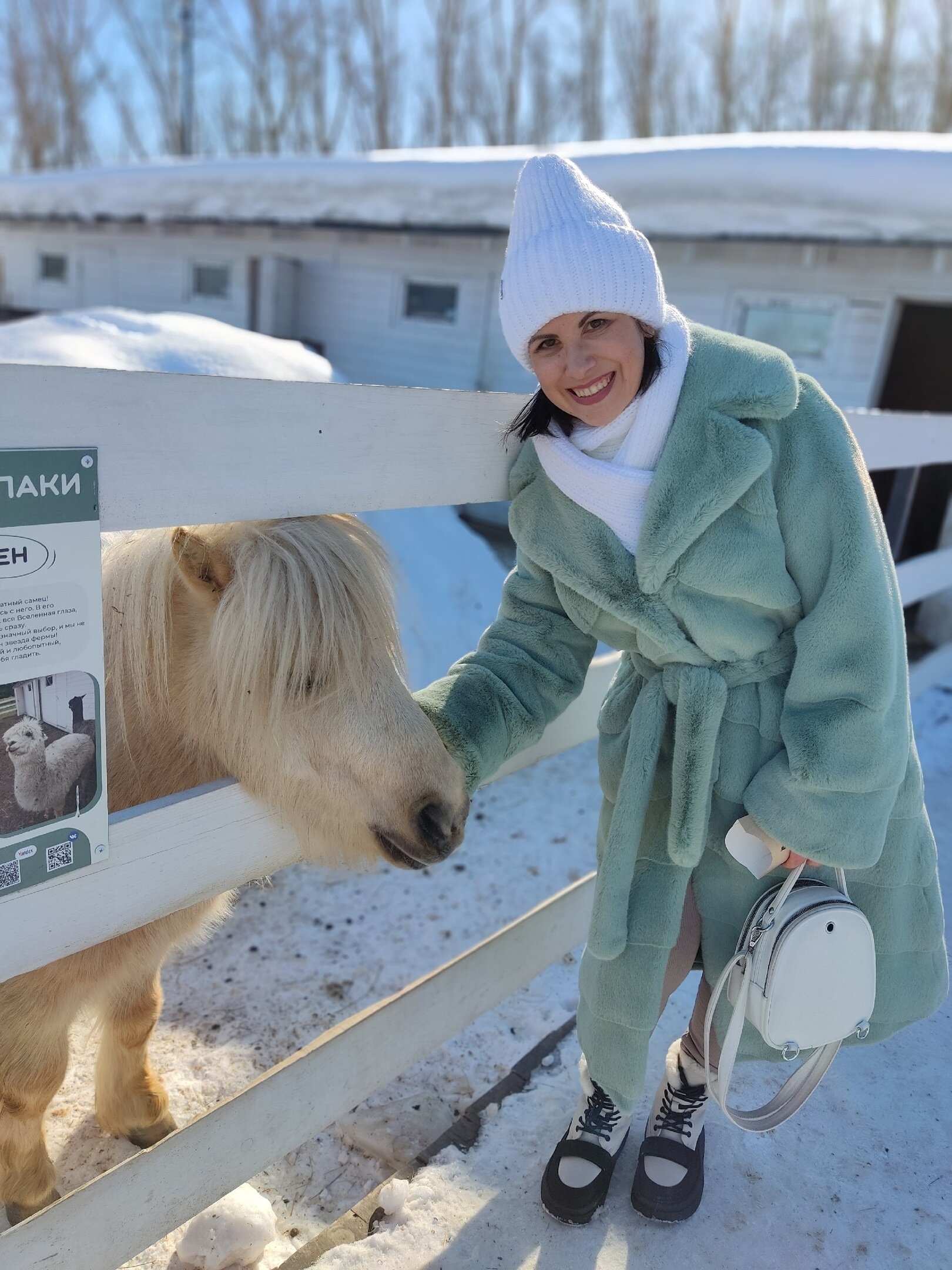Фото Пара Альпак