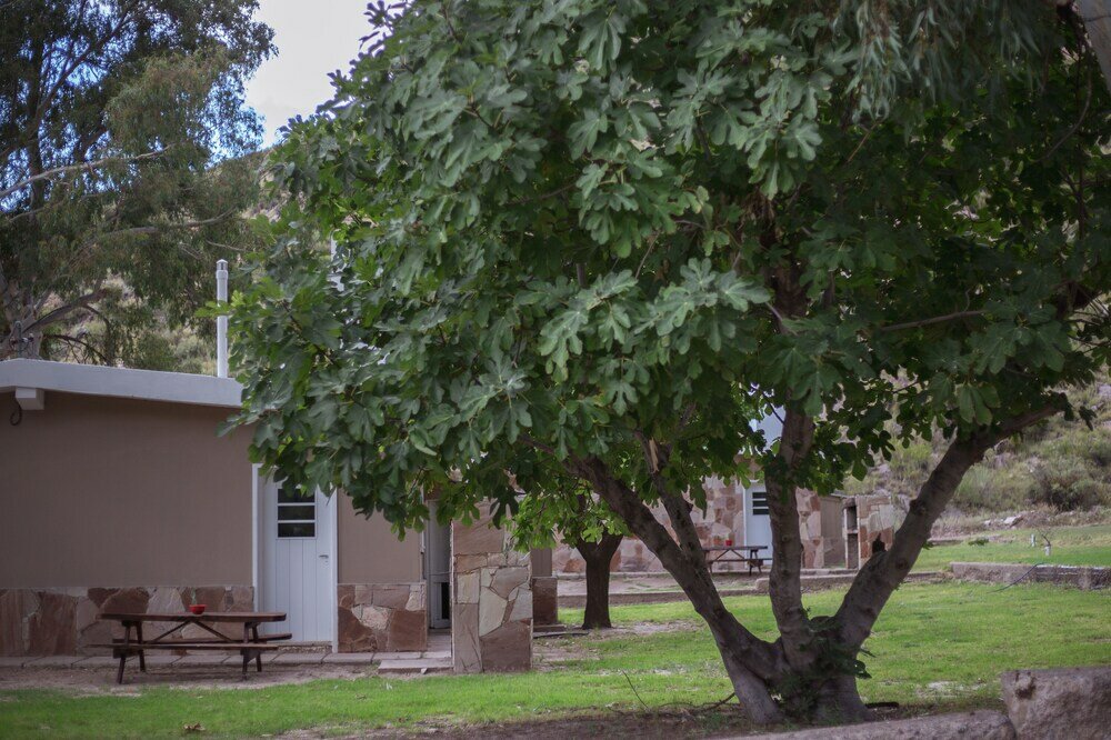 Фото Bosque Divino Cabañas & Suites