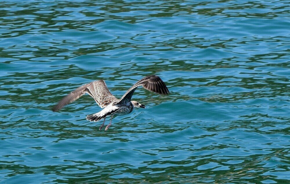 Фото Luxury Apartment in Garden of Eden