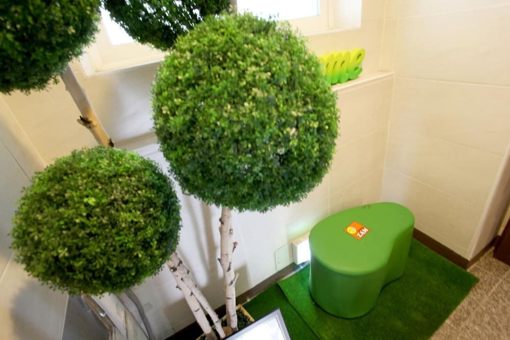 Фото Mokdong Zam