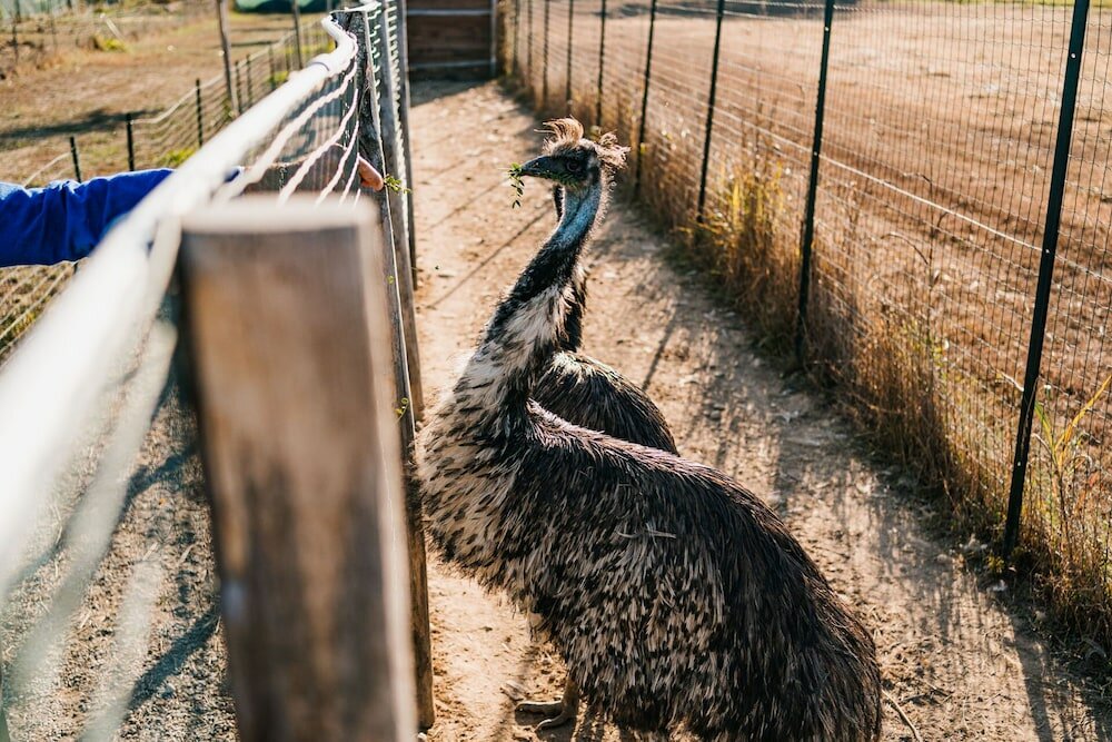 Фото La Tenuta di Santo Stefano Agri Resort & SPA