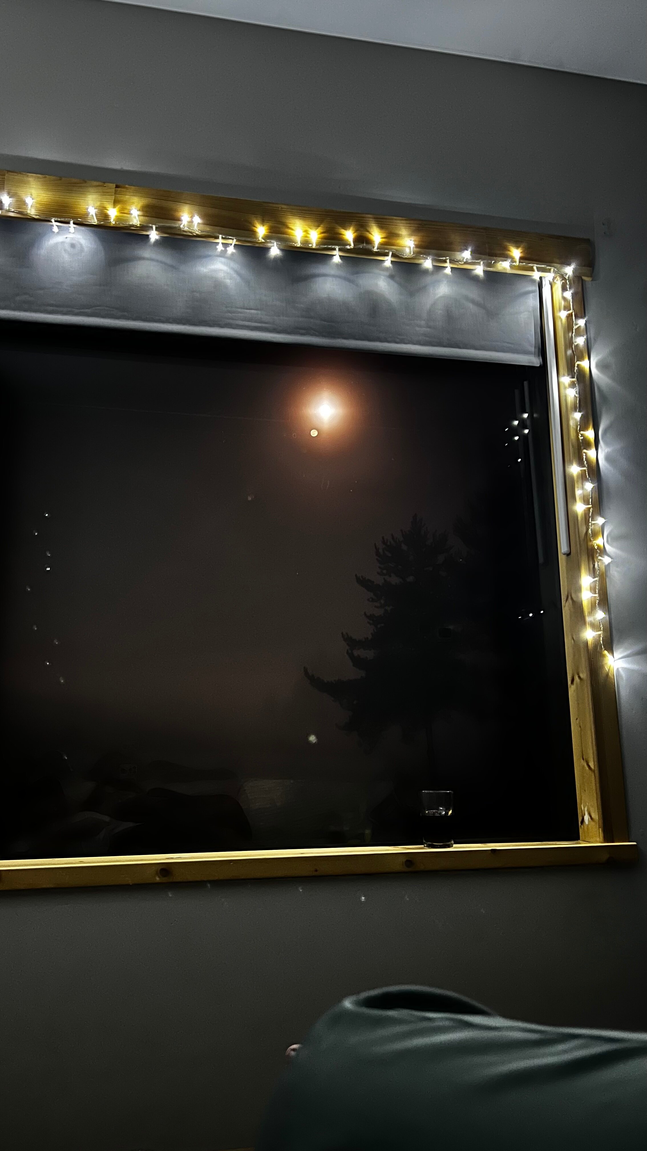 Фото Дом в лесу Холмово