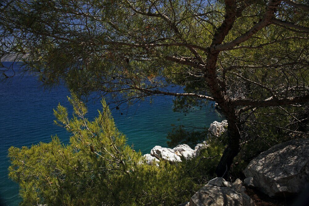 Фото Agistri Apartments